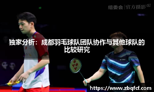 独家分析：成都羽毛球队团队协作与其他球队的比较研究